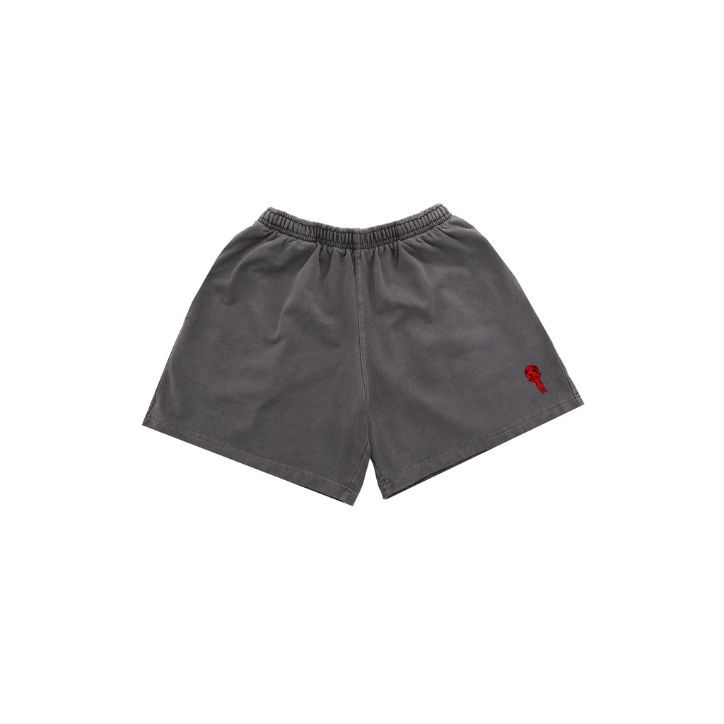 SHORT BASIC GREY (TWIY)