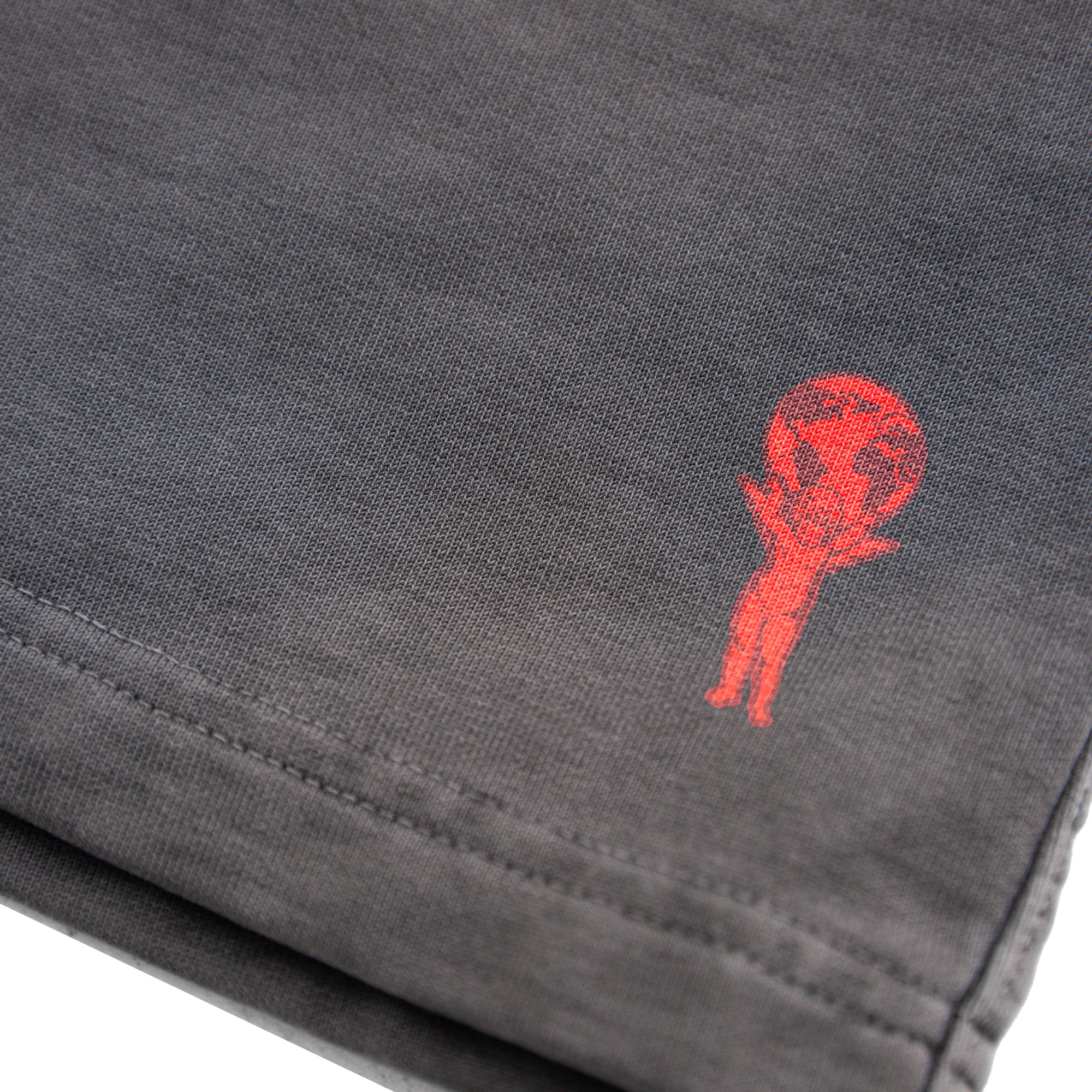 SHORT BASIC GREY (TWIY)